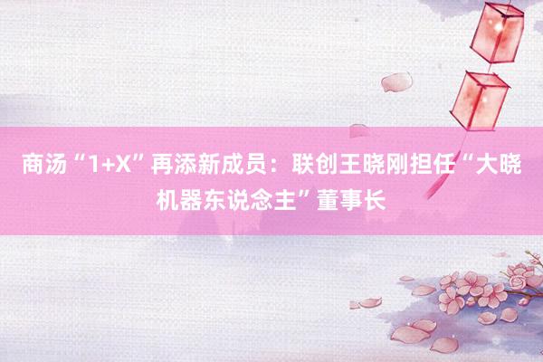 商汤“1+X”再添新成员：联创王晓刚担任“大晓机器东说念主”董事长